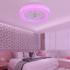 Fashionable ceiling lights for Living room Kitchen Dining room (WH-MA-36)