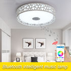 Decorative bluetooth & Remote control kids lighting ceiling with speaker ceiling lights for living room (WH-MA-38)