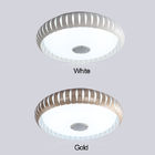 Led lounge ceiling lights with Bluetooth & Remote Control& Music ceiling lamp (WH-MA-42)