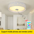 Bluetooth Led Lamp ceiling with loundspeaker for bedroom dimming LED Ceiling Lights (WH-MA-46)