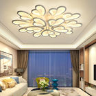 Standard Acrylic ceiling light fixture for Living room Bedroom Lighting Fixtures (WH-MA-51)