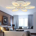 Affordable modern ceiling lighting for Bedroom Kitchen Dining room Ceiling lamp Fixtures (WH-MA-54)