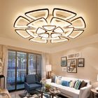 Adjustable Acrylic ceiling lights for Living room Bedroom Kitchen Lighting Fixtures (WH-MA-58)