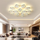Unique ceiling lights uk Eye Acrylic Lampshade for indoor ceiling decorate Fixtures (WH-MA-60)