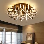 Black Acrylic ceiling light fixtures for Indoor home Lighting Fitting (WH-MA-87)