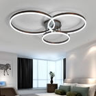 Drop Black ceiling light panels Ring Ceiling lamp For indoor home Lighting (WH-MA-95)