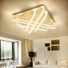 Pretty Modern ceiling Lights for Indoor house ceiling decoration Lamp (WH-MA-110)