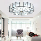 Tiffany style dragonfly ceiling lamp For Indoor home Lighting (WH-TA-03)