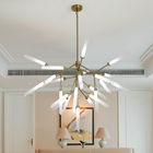 Simple Designer pendant lamp fpr indoor home Lighting Fixtures (WH-AP-68)