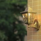 LED Garden Wall Light Outdoor Lighting Wall Lamps Outside wall light(WH-HR-91)