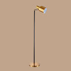 Creative Adjustable Floor Lamp lndustrial Style Living Room Bedroom Office Indoor Deco Living room floor lamp（WH-MFL-12)