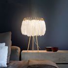 Modern Floor lamp for Living room Studio Bedroom Girl room feather lamp(WH-MFL-26)