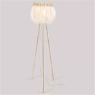 Modern Floor lamp for Living room Studio Bedroom Girl room feather lamp(WH-MFL-26)