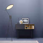 Nordic Floor Lamp Led Modern Iron Tripod Floor Lamps For Living Room Bedroom Study Floor lamp(WH-MFL-78)