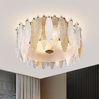 Modern Ceiling Lamps for Living room Bedroom Hallway siling light for living room(WH-CA-65)