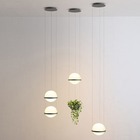 Plant Pendant Lights Modern Long Cord Plants Deco Chandelier Hanging Glass Ball Light(WH-GP-50)