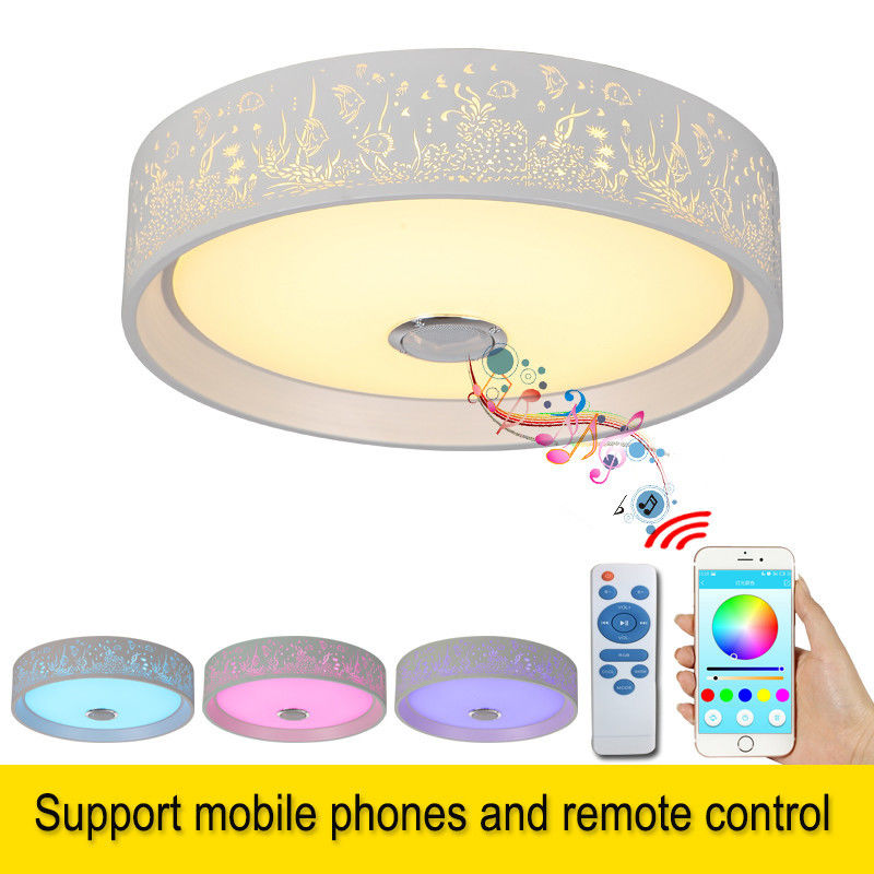 Bedroom ceiling lamp Music Bluetooth and remote Control LED Smart ceiling light Fixtures (WH-MA-45)