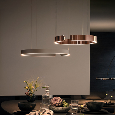 Nordic decor Modern Round ring Pendant light Bedroom living room home Mito Soffitto Pendant Lamp（WH-AP-392）