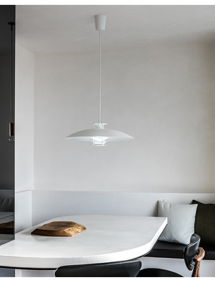 Nordic metal Pendant Light For Dining Room Loft E27 house design JL341 Pendant Light（WH-AP-417）