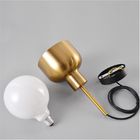Modern Creative Metal Pendant Lights Golden For Living Room Bedside NIKU PENDANT LAMP（WH-AP-424）