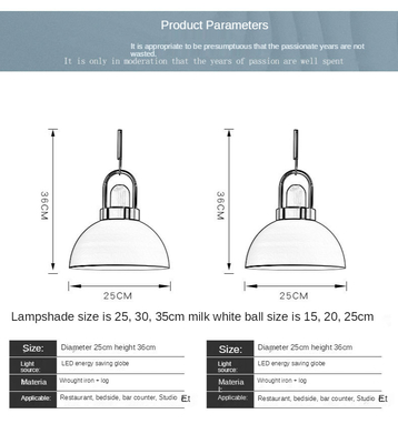 Modern Cafe Semicircular Pendan Light Bedroom Kitchen Living room home Arc Globe Pendant Light（WH-AP-435）