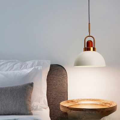 Modern Cafe Semicircular Pendan Light Bedroom Kitchen Living room home Arc Globe Pendant Light（WH-AP-435）
