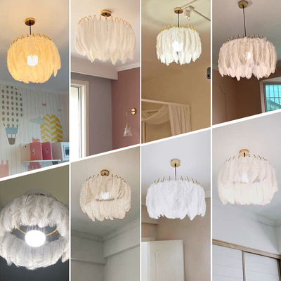 Nordic warm and romantic designer Pendant Light simple Bedroom restaurant Feather Pendant Lamp（WH-AP-439）