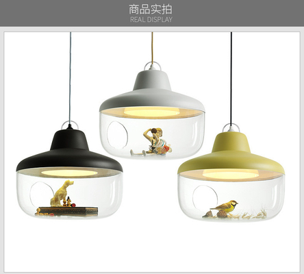 Mordern Glass Pendant light House Lovely Home Living Room Bedroom Favorite Things Pendant Lamp（WH-AP-476）