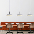 Modern Led Pendant Lights Designer Iron Hanging Lamp For Living Room apartment lighting(WH-AP-521)