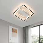 Modern Creative Ceiling Lights Art Deco Minimalist for Living Room Bedroom Balcony Indoor ceiling lighting(WH-MA-203)