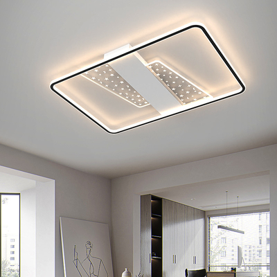 Modern Creative Ceiling Lights Art Deco Minimalist for Living Room Bedroom Balcony Indoor ceiling lighting(WH-MA-203)