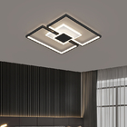 Modern LED Ceiling Light Simplicity Fashion Geometric Light luxury Black Gold ceiling lamp(WH-MA-204)