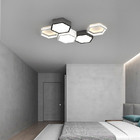 Simple Modern Living Room Lights Minimalist Bedroom Dining Room honeycomb LED Ceiling Lights(WH-MA-211)