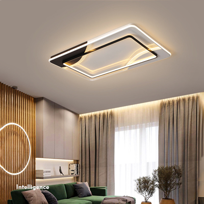 Round Square Led ceiling lamp For Living Room Lights Bedroom Black White ceiling Lights(WH-MA-264)