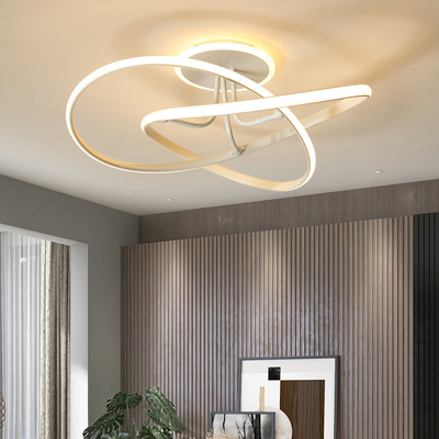 Modern Living Room Designer Ceiling Lights Minimalist Home Nordic Led Ceiling Lamp(WH-MA-273)