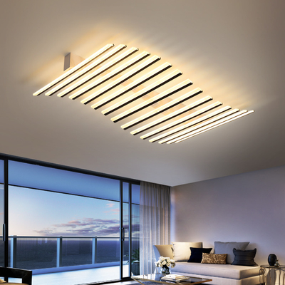 Modern Minimalist Flush Mount Ceiling Light Living Room Hall Decoration long Ceiling Light(WH-MA-275)