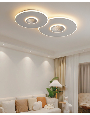 Nordic Warm Art Bedroom Ceiling Lights Simple Modern Led Creative Room art ceiling Light(WH-MA-283)