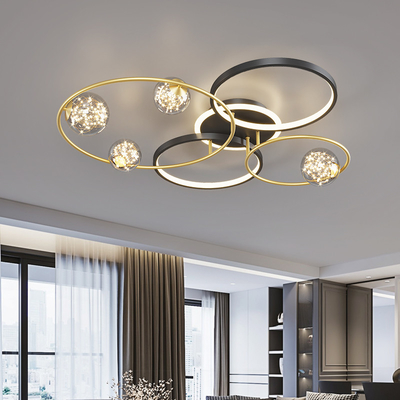 Modern Simple Round Led Ceiling Light Minimalist Living Room Bedroom Black Gold Ceiling Light(WH-MA-284)