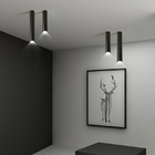 Modern led long tube ceiling lamp surface mounted circular indoor corridor spotlight ceiling lamp(WH-MA-287)