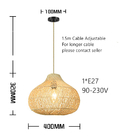 Handmade Bamboo Woven South Asia Holiday Restaurant Hotel Japanese Hawaii Summer Style Pendant Lamp(WH-WP-80)