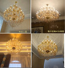 Chandelier ceiling light fixtures Dining room Living room lights (WH-CY-09)