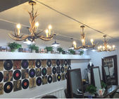 Deer horn chandelier for Coffee Shop Bedroom Living room Lighting Fixtures (WH-AC-04)