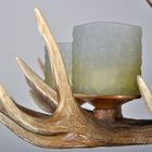 Deer antler candelabra chandelier Lighting with glass lampshade (WH-AC-12)