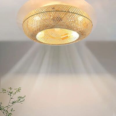 Ventilator Lamp 50cm Air Invisible Blades Retractable Silent Bamboo Ceiling Fan Fans With Lights(WH-CLL-51)