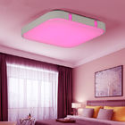 New Colorful Modern Led Ceiling Lights For Home Decorative RGB Light Fixture (WH-MA-29)