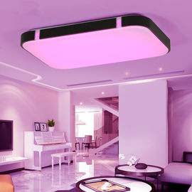 New Colorful Modern Led Ceiling Lights For Home Decorative RGB Light Fixture (WH-MA-29)