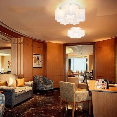 Modern LED Ceiling Light Logico Triple Nested Suspension（WH-AP-605）