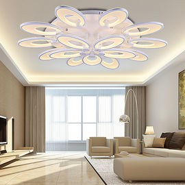 Affordable modern ceiling lighting for Bedroom Kitchen Dining room Ceiling lamp Fixtures (WH-MA-54)