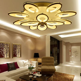 Affordable modern ceiling lighting for Bedroom Kitchen Dining room Ceiling lamp Fixtures (WH-MA-54)