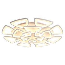 Adjustable Acrylic ceiling lights for Living room Bedroom Kitchen Lighting Fixtures (WH-MA-58)